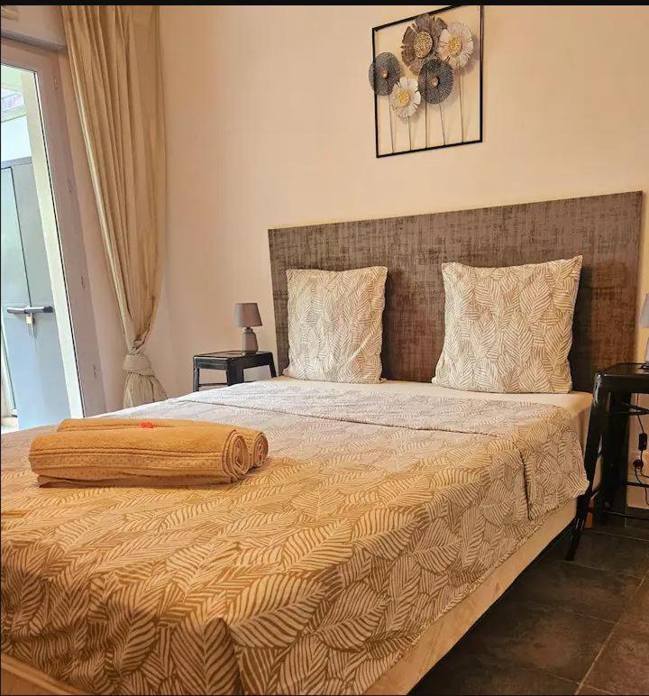Appartement T2 Spacieux Avec Terrasse Et Clim *